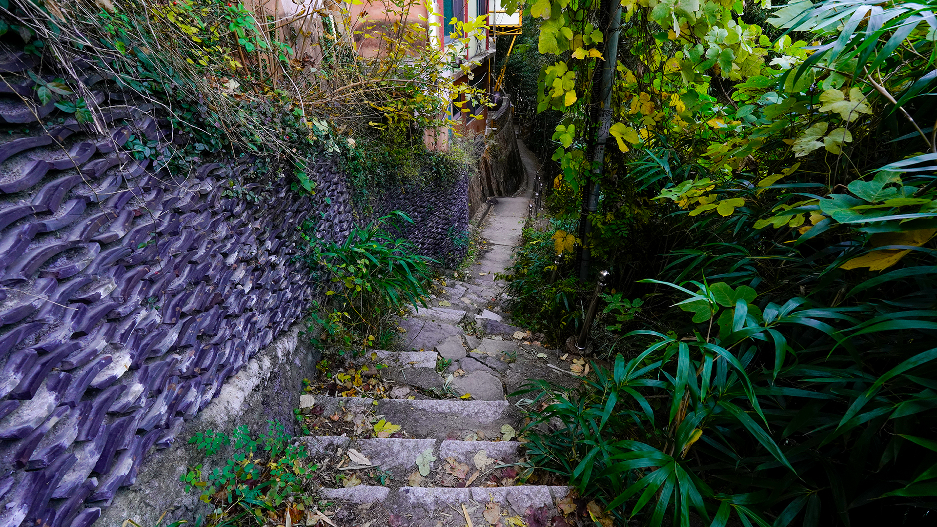 용두산생태공원